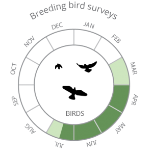Breeding bird surveys-02