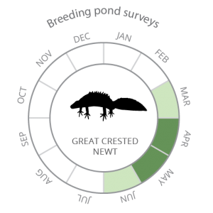 Breeding pond surveys-02