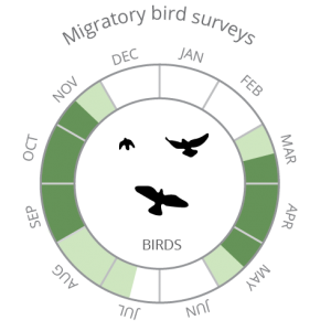 Migratory bird surveys-02