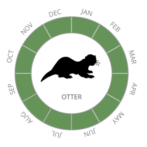 Otter