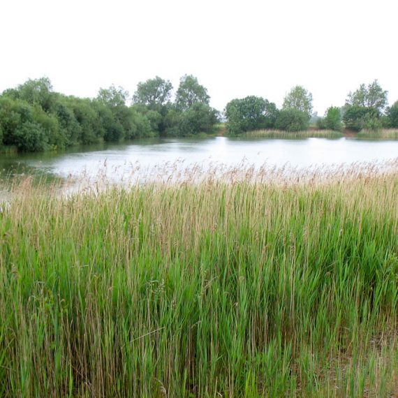 Former Aggregates Site