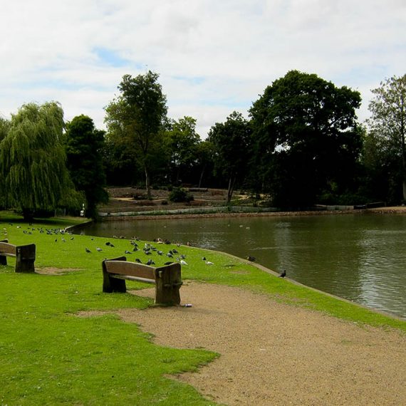 Forty Hall Pond