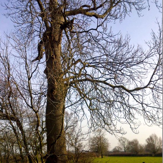 Littleover-Derbyshire