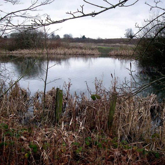 Ruabon-pond