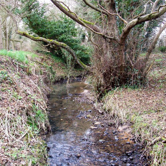 Willowburn