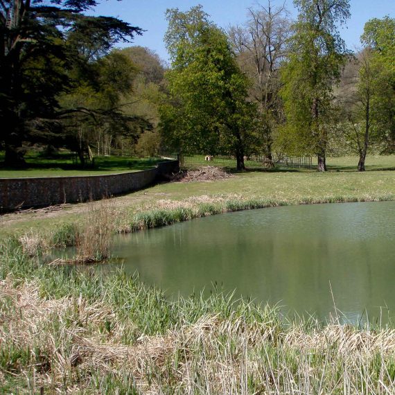 Garsington-pond