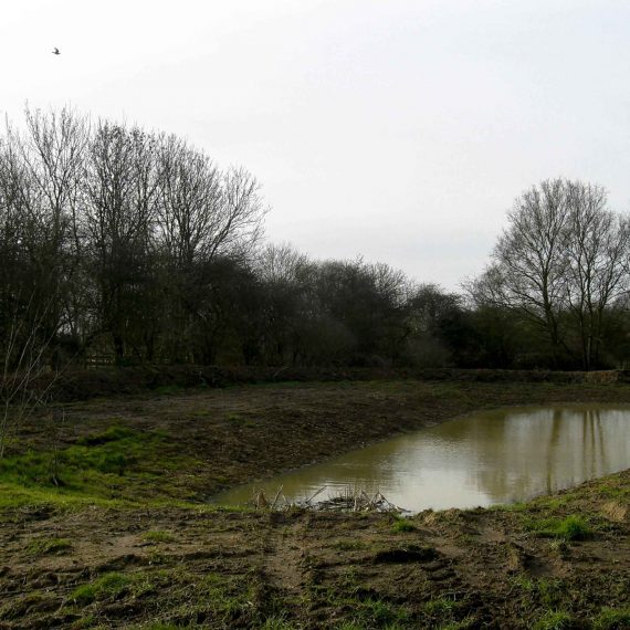 Pond-creation