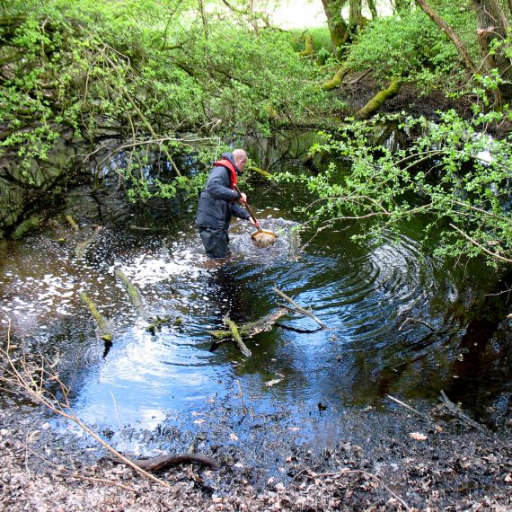 Pond work
