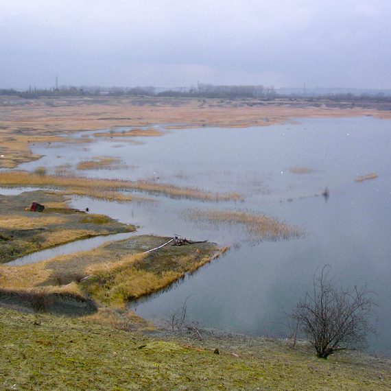 Rookery South Large pond 1