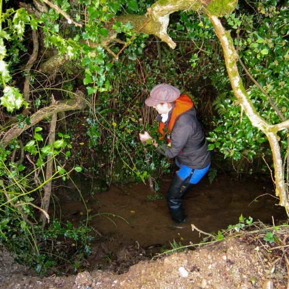 Water sampling for invertebrates