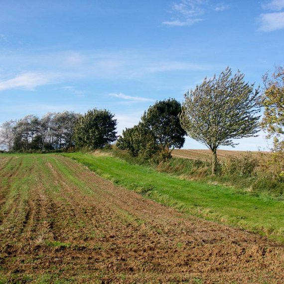 Winwick site