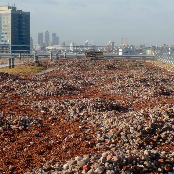 Woolwich Arsenal Brown Roof