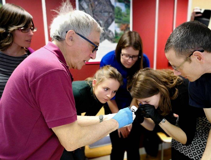 Bat Training: Identification, Ecology, Handling and Survey - BSG Ecology