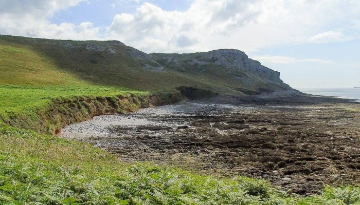 R-Gower-Peninsula