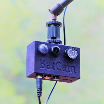 BSG Ecology_BatCam (2) BSG Ecology_BatCam (2)
